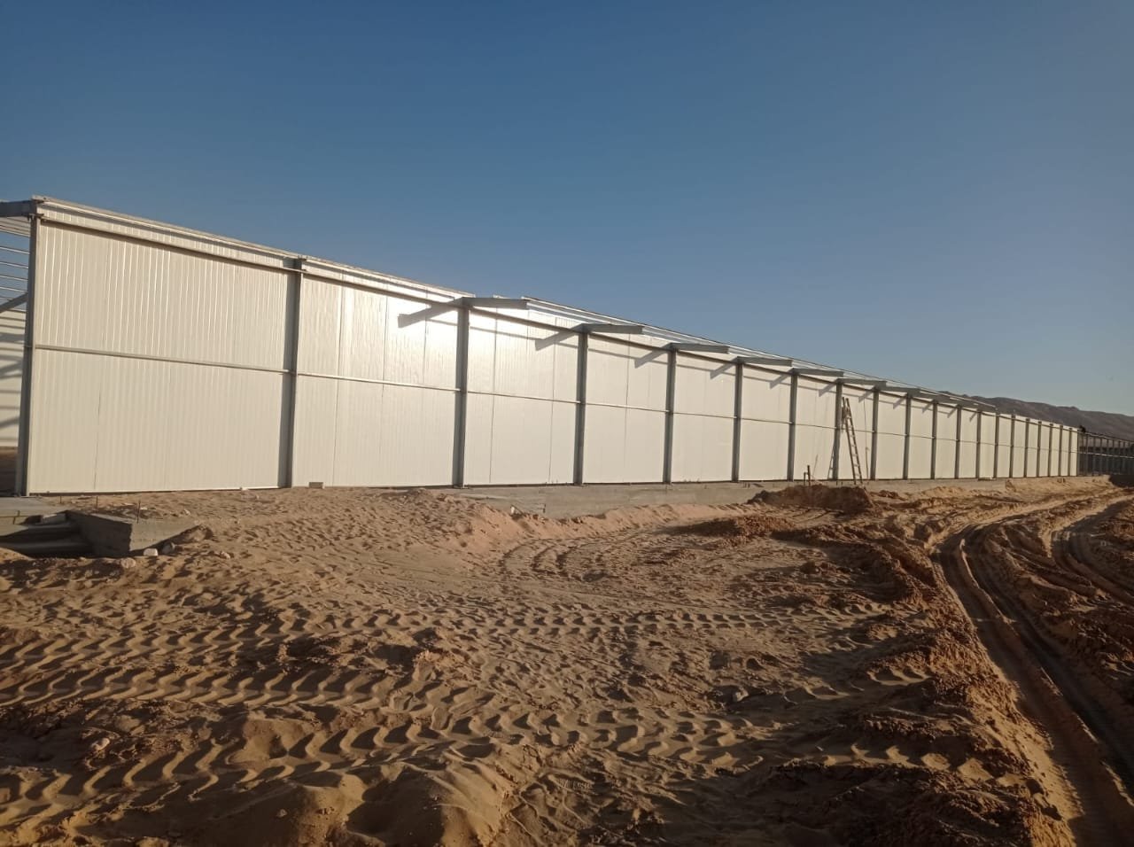 نظام تربية الأمهات